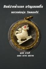 สิงห์หลวงพ่อมุ่ย วัดดอนไร่ 