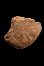 หลวงพ่อโหน่ง